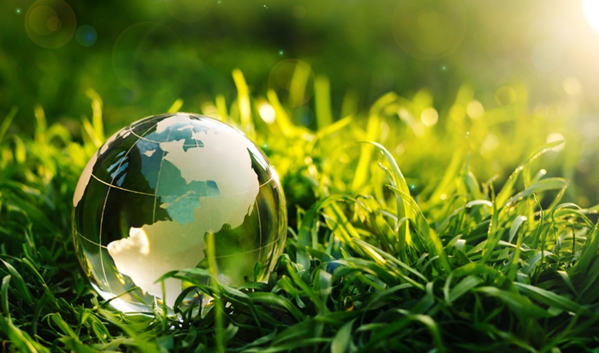 globe on grass